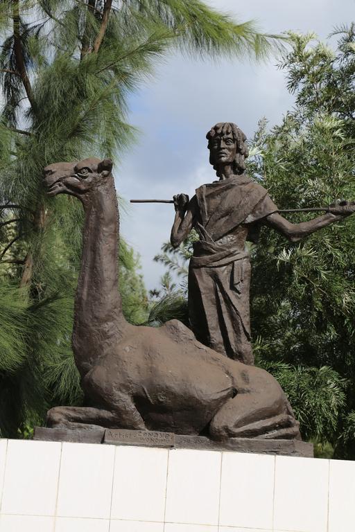 Afarensis International Hotel Addis Ababa Bagian luar foto